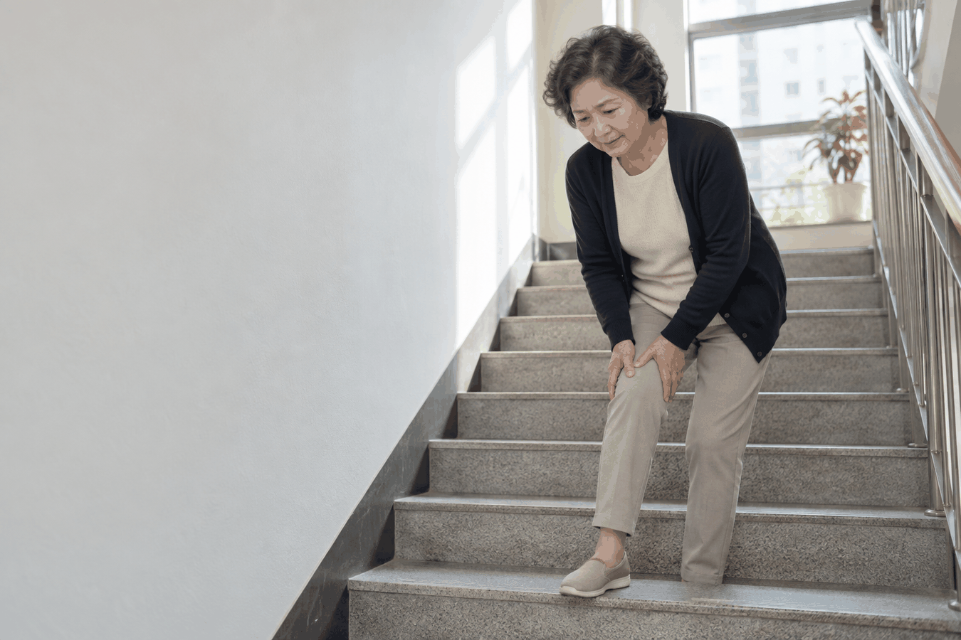 무릎관절염·퇴행성관절염, 계단과 걷기가 점점 힘들어진다면 건강 칼럼 대표 이미지